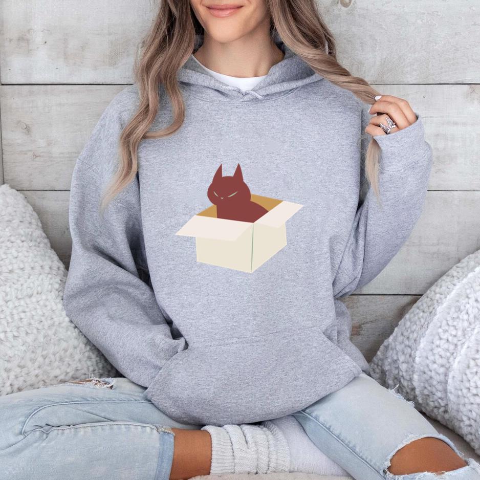 Cat Flat In A Box Hoodie